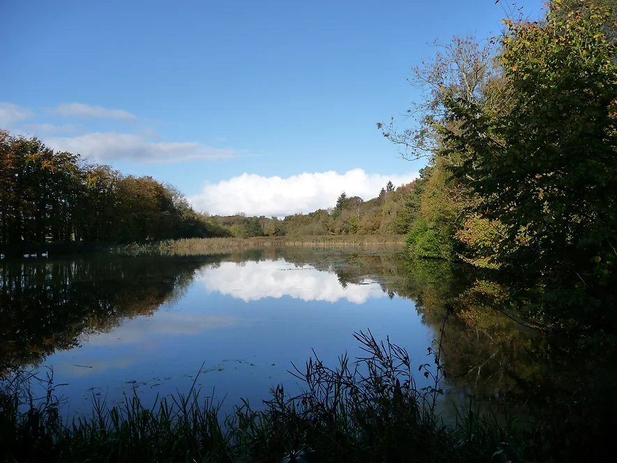 Big Lake at Bigwood Fisheries