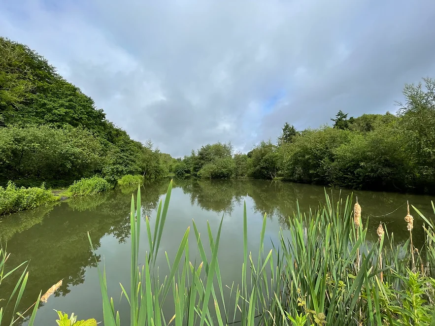 Island Lake at Bigwood Fisheries