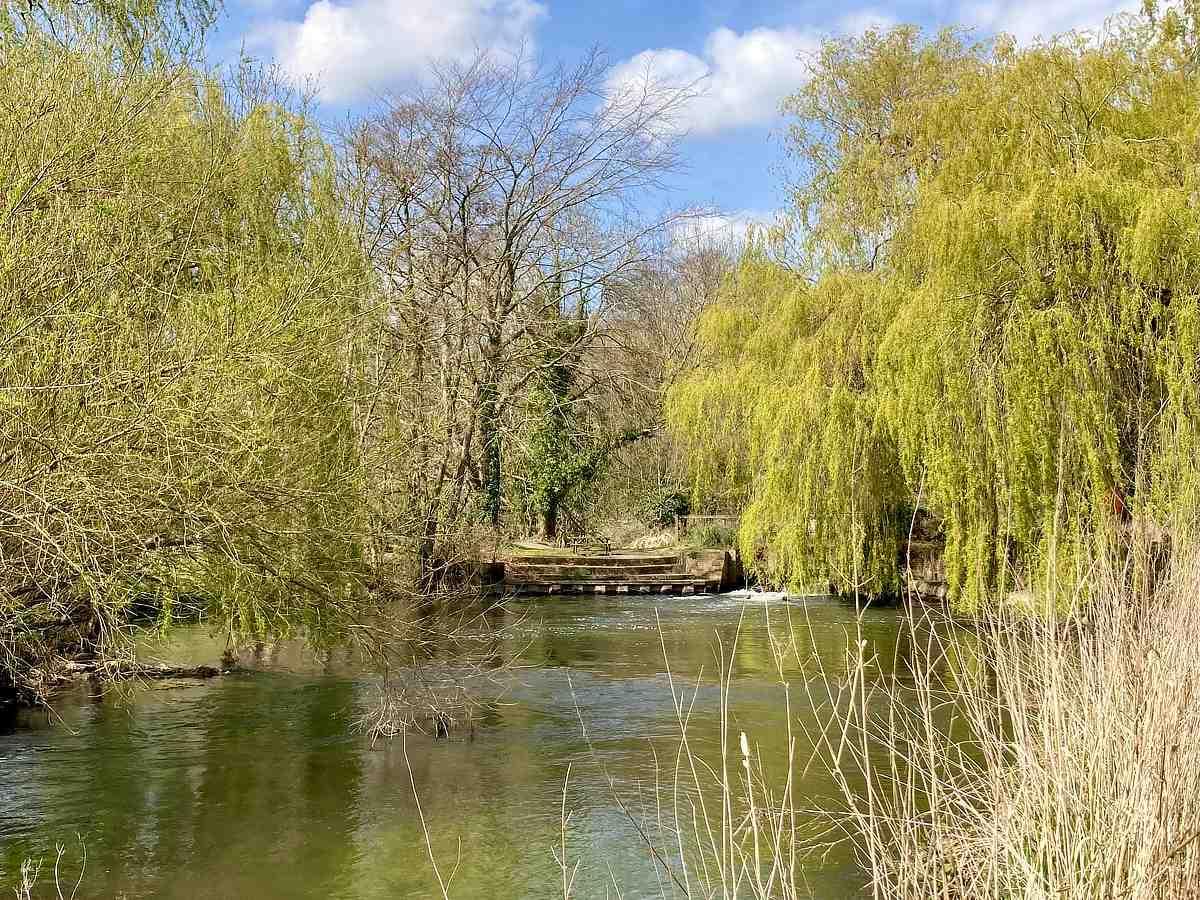 River Wensum at Taverham Mills